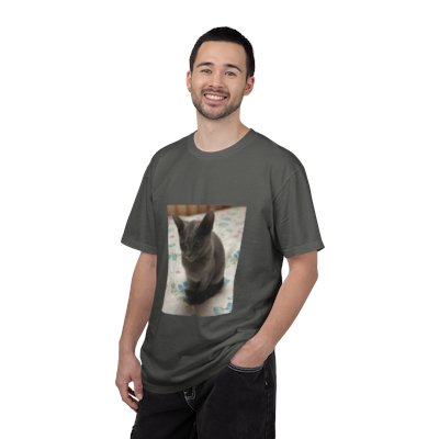 GrayKitten